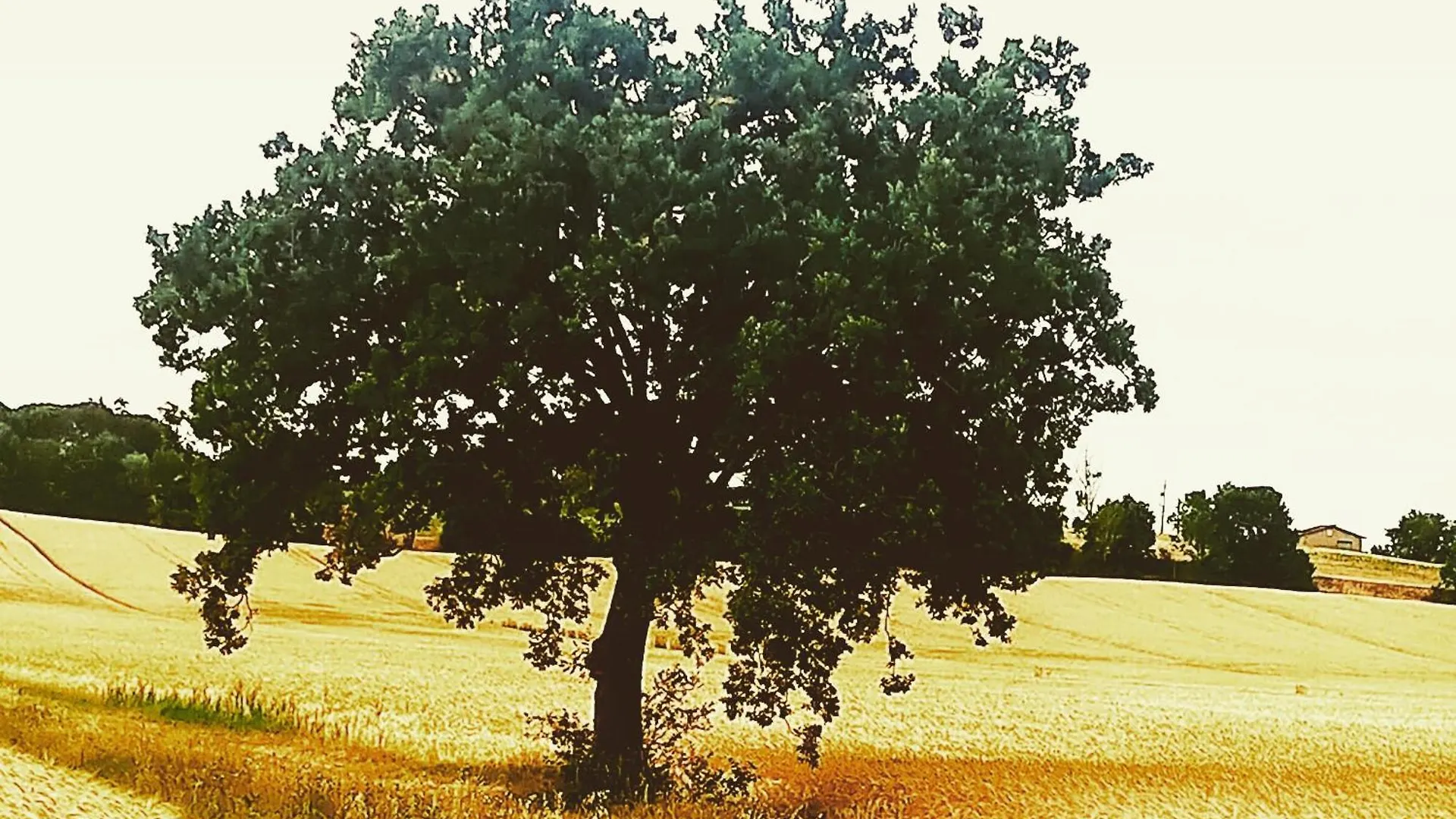 Appartamento Coccinella House Chianciano Terme