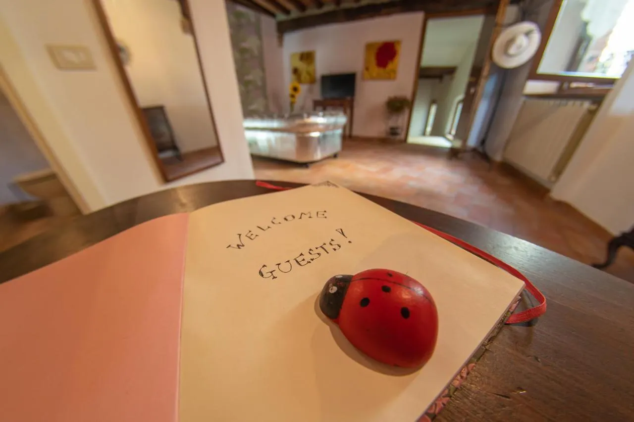 Coccinella House Apartment Chianciano Terme Italy
